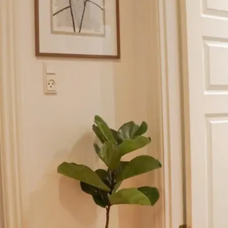 Luxurious Cph Flat A Location شقة كوبنهاجن